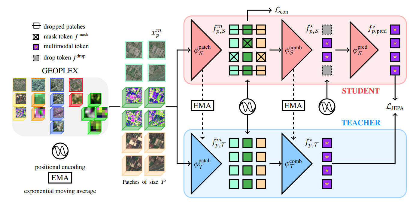 AnySat Architecture